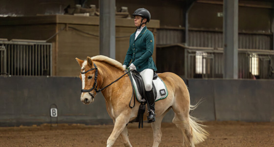 Met je pony tussen de paarden starten