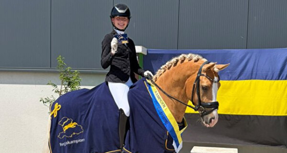 [VOLG] Mijn pony droom in Zweden