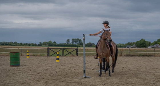 Het grote working equitation topic