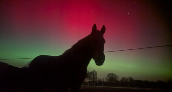Vanavond mogelijk Noorderlicht te zien in Nederland