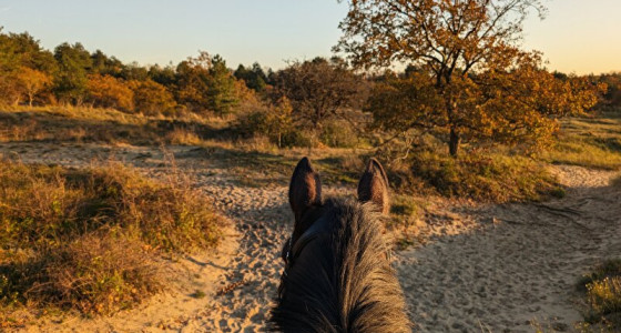 Waarom ben jij blij vandaag? #2