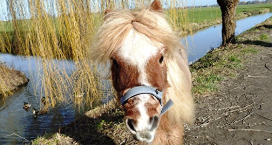 Wandelen brengt ons veel plezier dus gaan we verder in deel 4