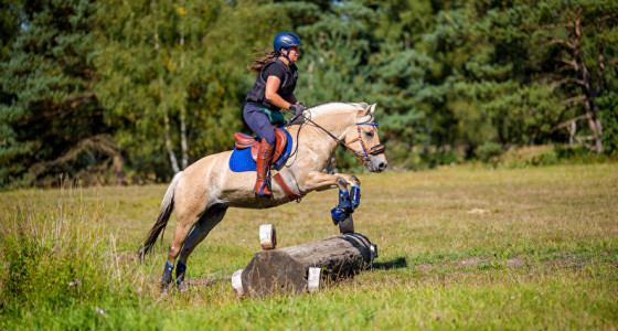 Weekendje Eventing met Fjord Heidi