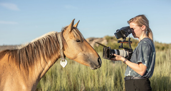 De uitstervende Sorraia in Portugal vastleggen (EquineLegacy Project)