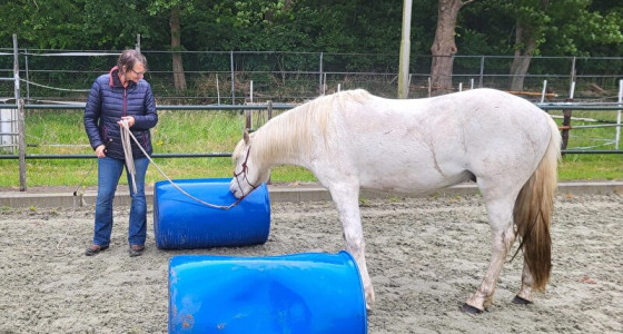 Al weer een jaar voorbij mithras