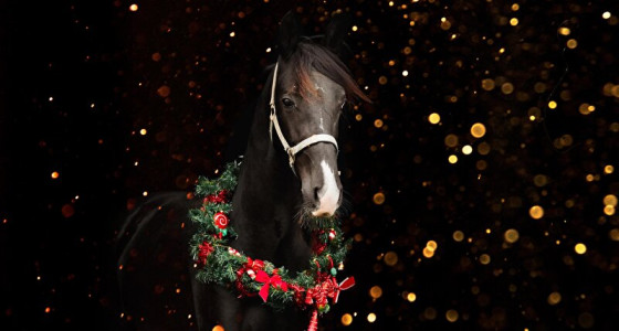 Mislukte bestelling :')