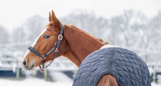 Hiep Hiep hoera, Ukkie alweer 2 jaar!