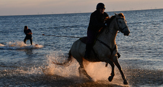 Gez: duurzaam ponyras/ klein paard  (1:35 tot 1:60) voor volwassene?