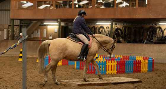 Clinic Working Equitation met Knelis