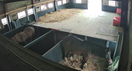 Show je schuilstal en do’s en don’ts