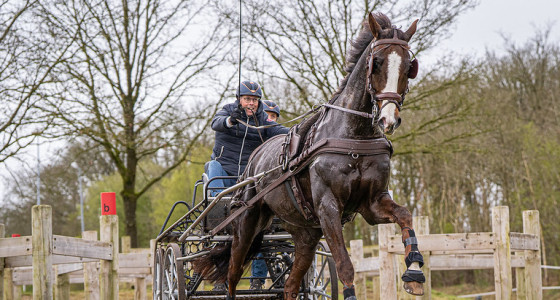 [FOTO] CAI Exloo 2026 - de marathon