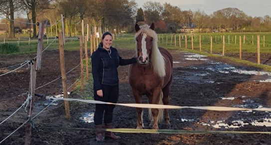 Mijn eerste eigen paard; welkom SF Daily!