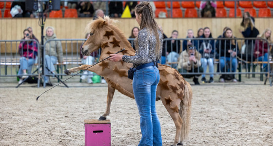 [FOTO] Equiday 11 april 2026