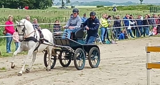 Bokker assie vertelt over de afgelopen 16 jaar met haar Tentsi