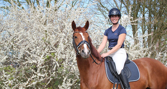 Nakomelingen Filou hengst