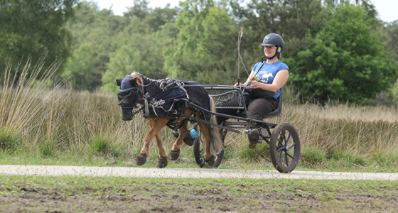 Alles over de mendurance van Bokkers Dennis en Jorex