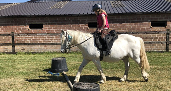 Ponygoud en paardenmeisjes