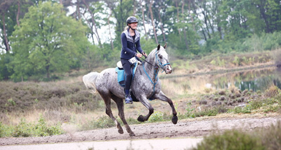 Wijchense paardenmeerdaagse met Pika