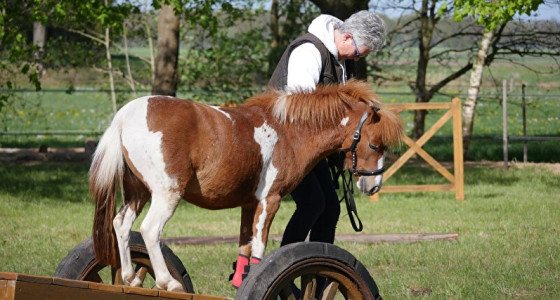 Bibi en Junnie op avontuur in de trailtuin