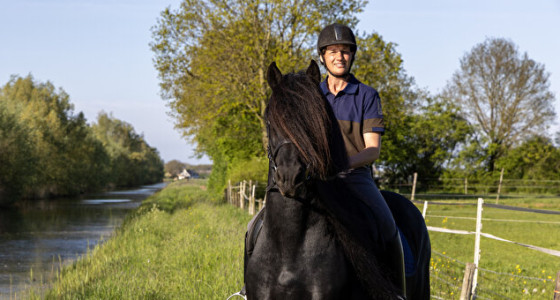 Knappe Fries tussen de gele bloemen