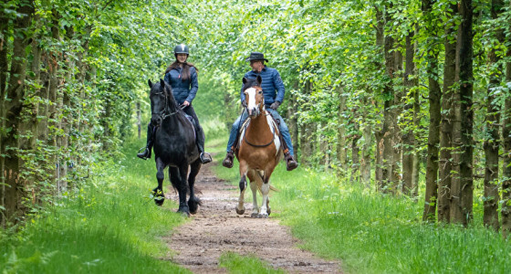 Op buitenrit met katje Ratje