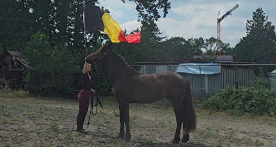 Schriktraining met 2 jarige Cielo