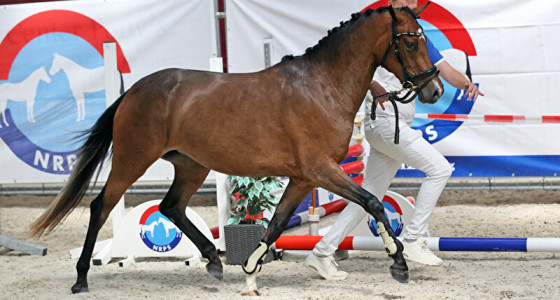 NRPS keuring regio zuid