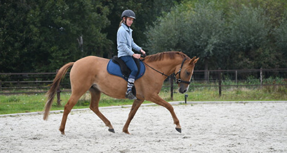 Van afdankertje naar (wit) gouden topper(tje).