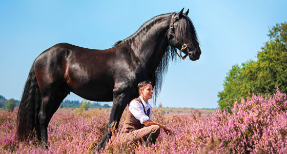 [BLOG] Joe's struggles in paarden paradijs: Daar gaan we weer