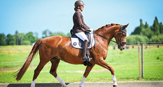 Weer helemaal back on track, 5 winst in 1 weekend