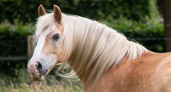 Jim. Al 18 jaar mijn grootste en liefste vriend