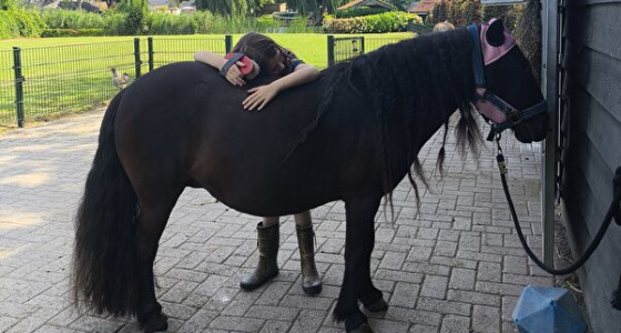 Een weekje een eigen pony