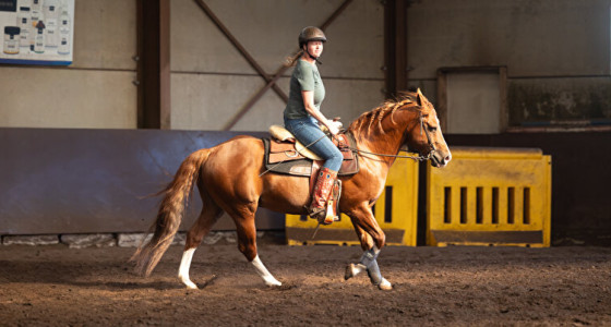 Lesje op Cowboy, eindelijk weer in het zadel!