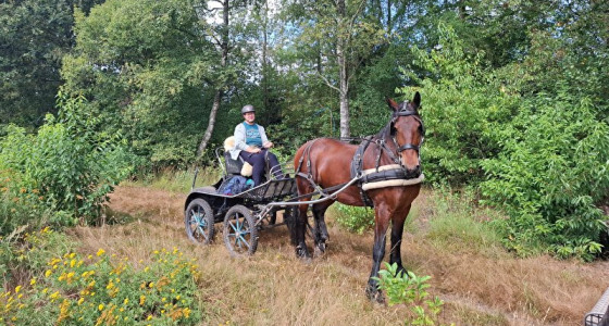 Sjors en Boris mooie heiderit