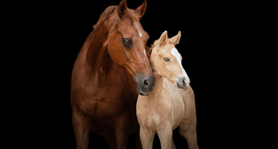 Photo-art Libby & Quando