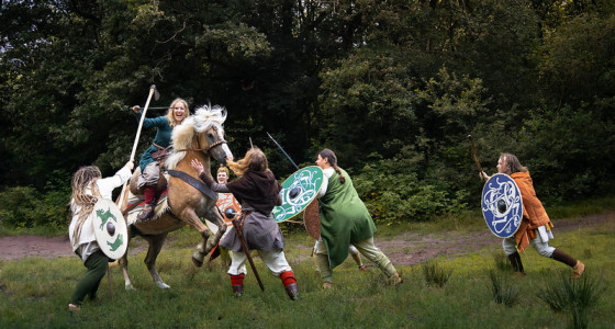 Marie en haar vikingvrienden