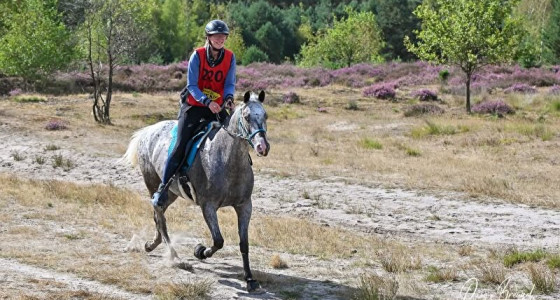 Endurance Someren marathon 2026 met Stippel Pika