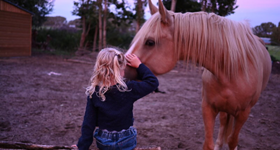Mijn dochter, 2 pony's, camera en ondergaande zon