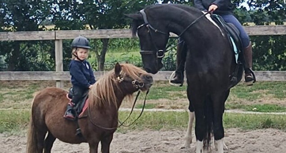 Opgroeien met paarden