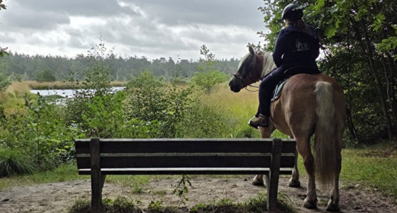 NVVR weekend Drenthe en verhuizing van Anton en Roos