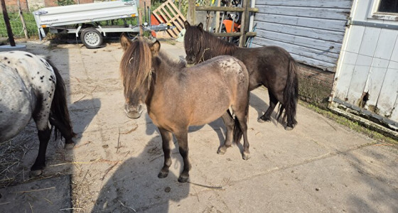 Welke kleur laten testen