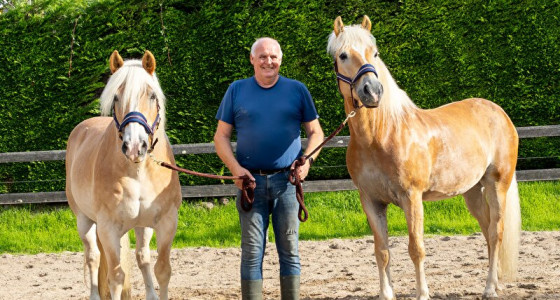 Liz. Arlon en Meneer Anton op weg naar een tweespan
