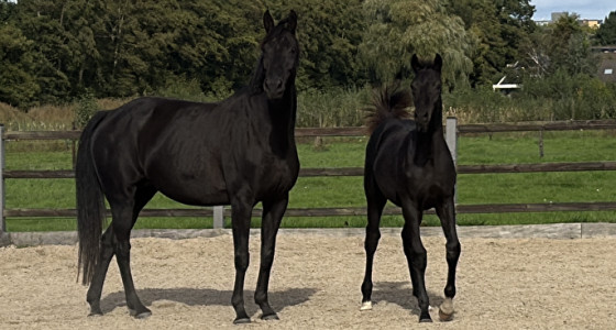 Juna's trots Wictorie alweer 5 maanden oud!