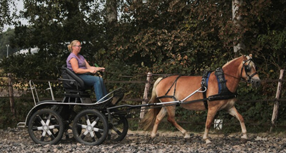 Hennessy's eerste eigen mentopic