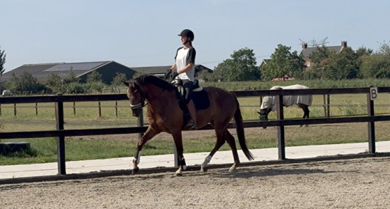 Top Secret (v. Secret) & Sam I Am (v. For Ferrero)