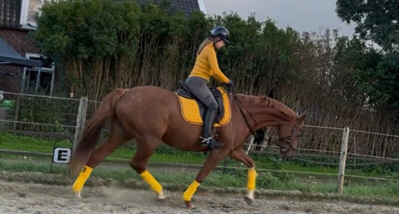 Jaloers op mijn eigen dochter! Help!