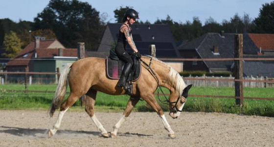 yoyeux Coeur terug naar braaf