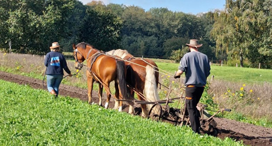[FOTO] Ploegen bij Hoeve Springendal