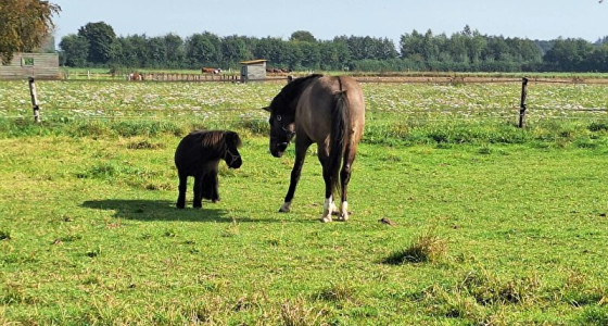 [Blog]Joe's struggles: Nieuwe ronde, nieuwe kansen, nieuwe tijden